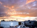 6-19-2020-FARM-107